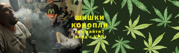 прущие крисы Нягань