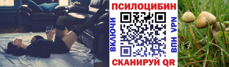 как найти закладки  ОМГ ОМГ зеркало  Галлюциногенные грибы GOLDEN TEACHER  Таруса 